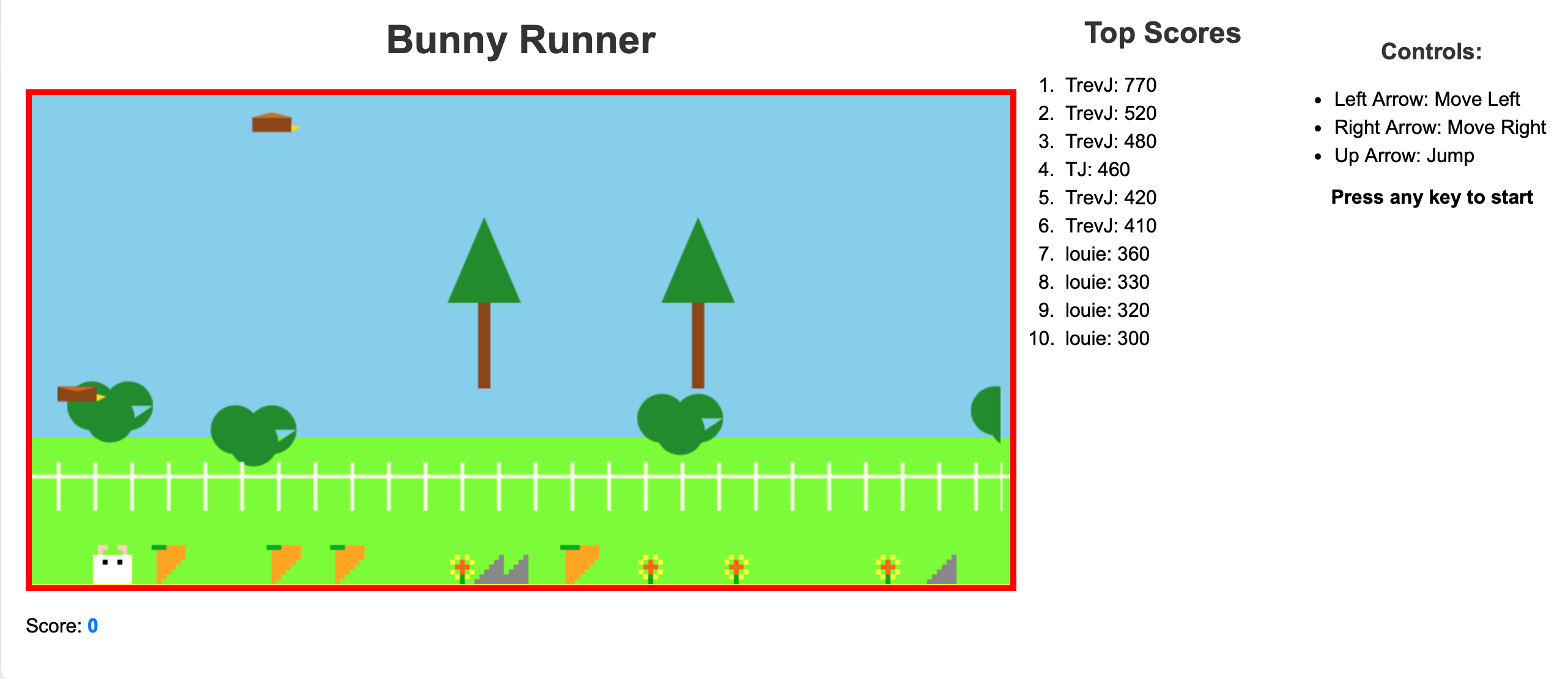 Bunny Runner